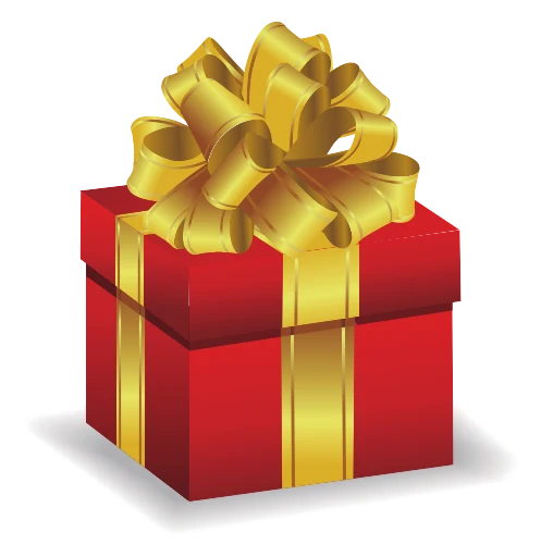 Mystery Gift